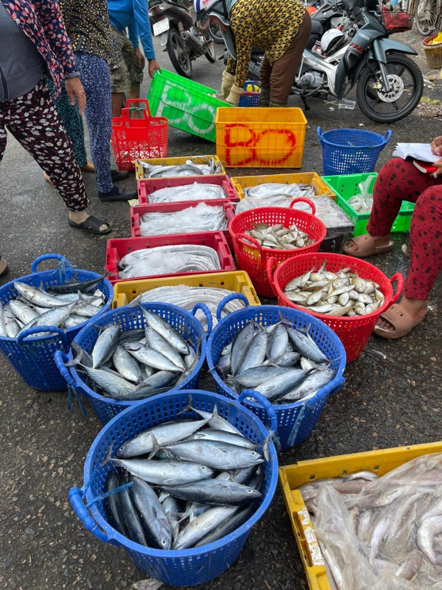 Duc Luu Quang Hotel Binh Thuan Tuy Phong Kültér fotó