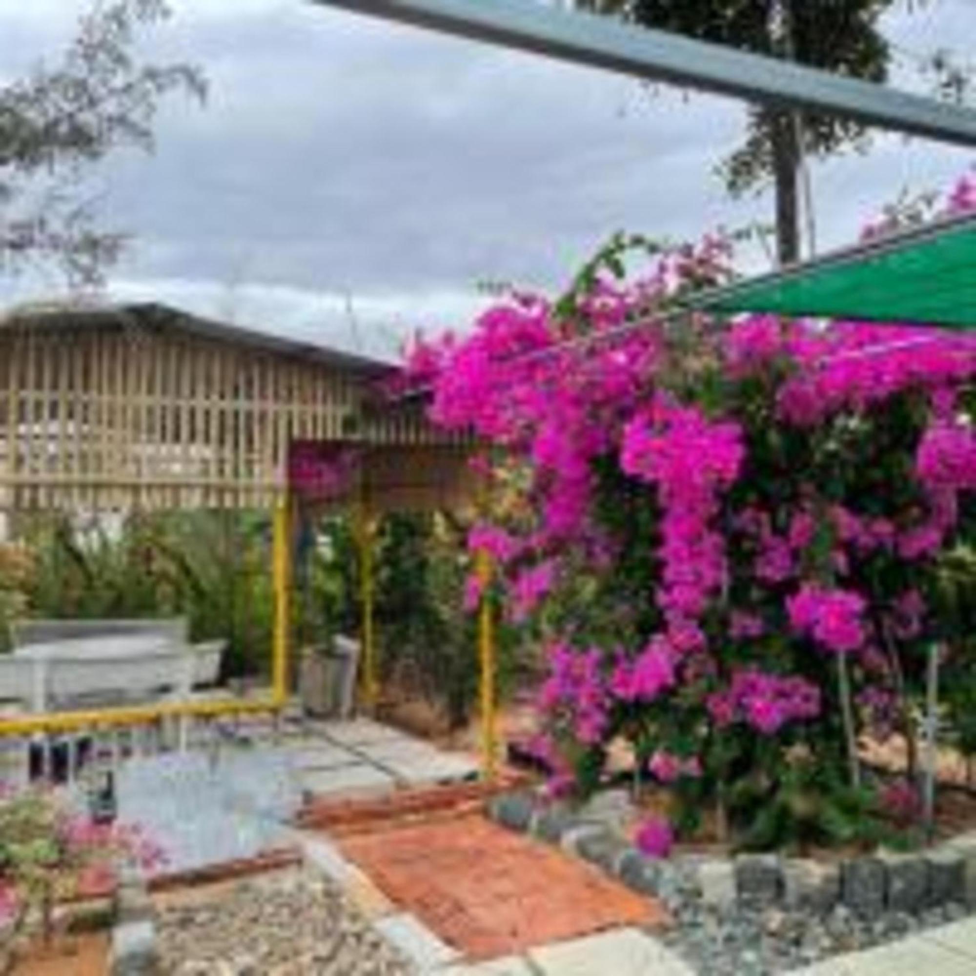 Duc Luu Quang Hotel Binh Thuan Tuy Phong Kültér fotó