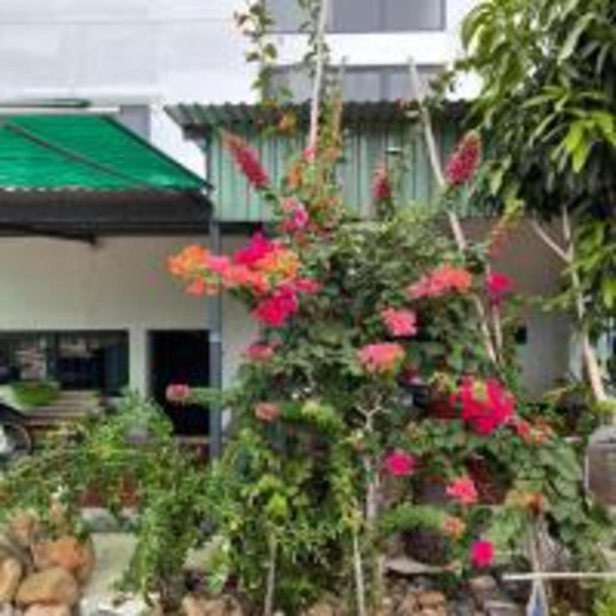 Duc Luu Quang Hotel Binh Thuan Tuy Phong Kültér fotó