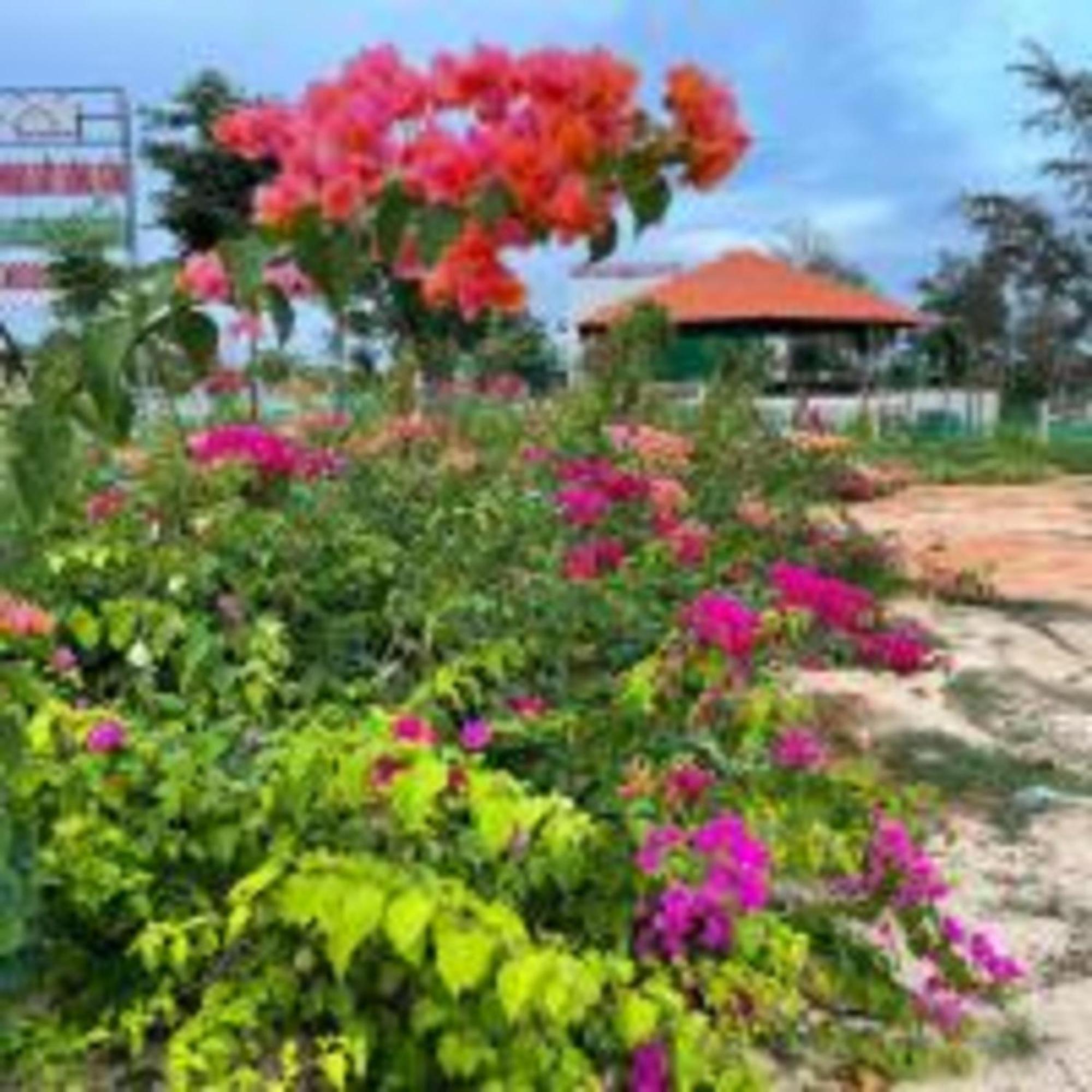 Duc Luu Quang Hotel Binh Thuan Tuy Phong Kültér fotó