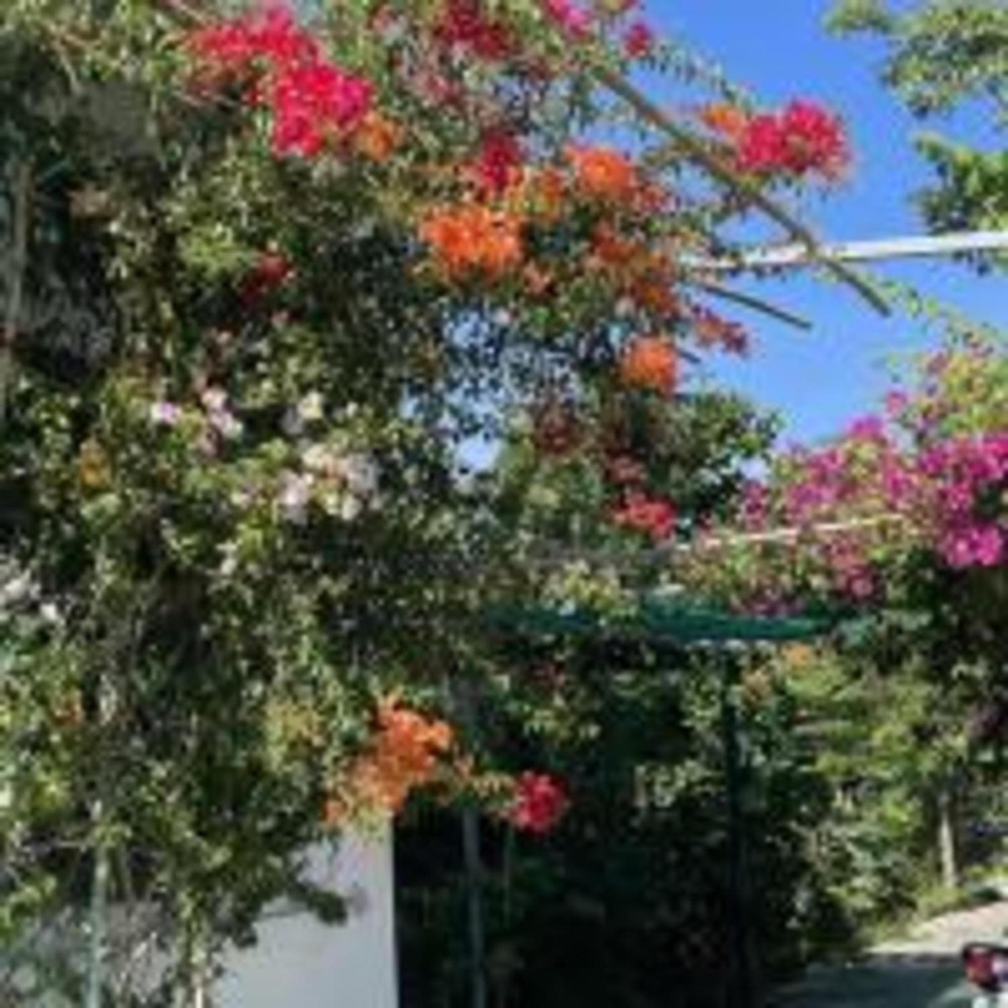 Duc Luu Quang Hotel Binh Thuan Tuy Phong Kültér fotó